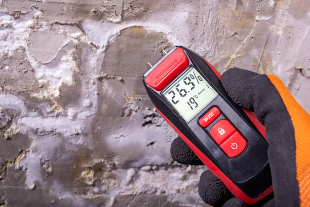 Best Mold Testing  in Sheffield, AL