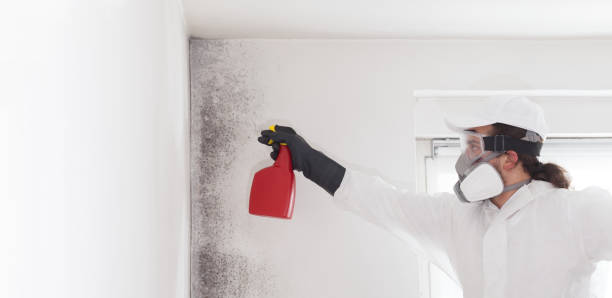 Best Mold Testing  in Sheffield, AL